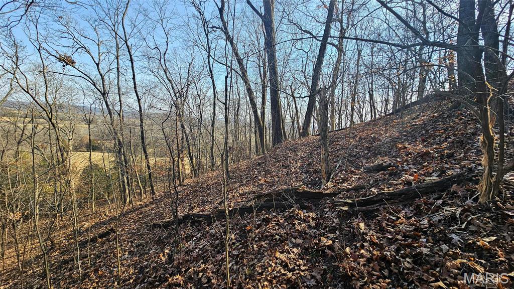 205 Hemsath Property Photo 19