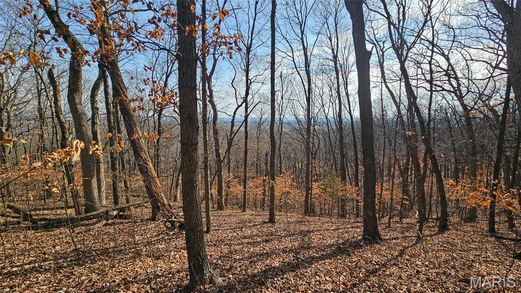 205 Hemsath Property Photo 21