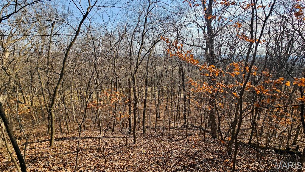 205 Hemsath Property Photo 22