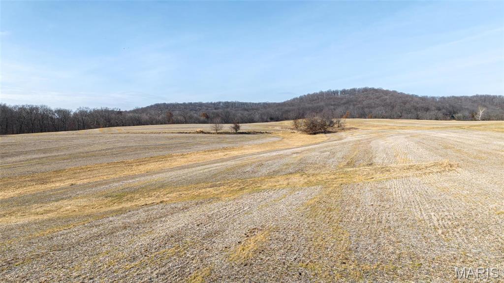 205 Hemsath Property Photo 36