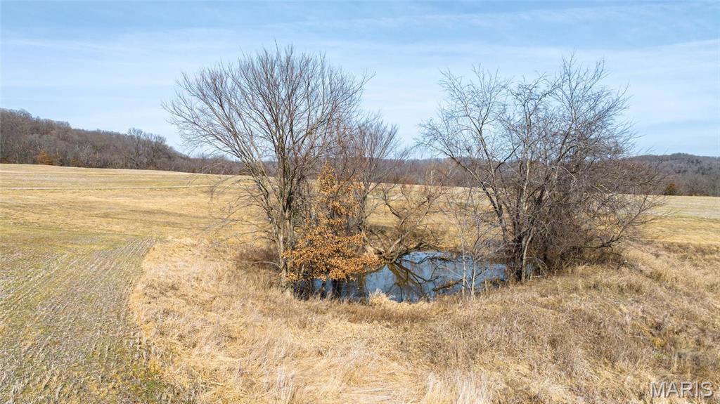 205 Hemsath Property Photo 37