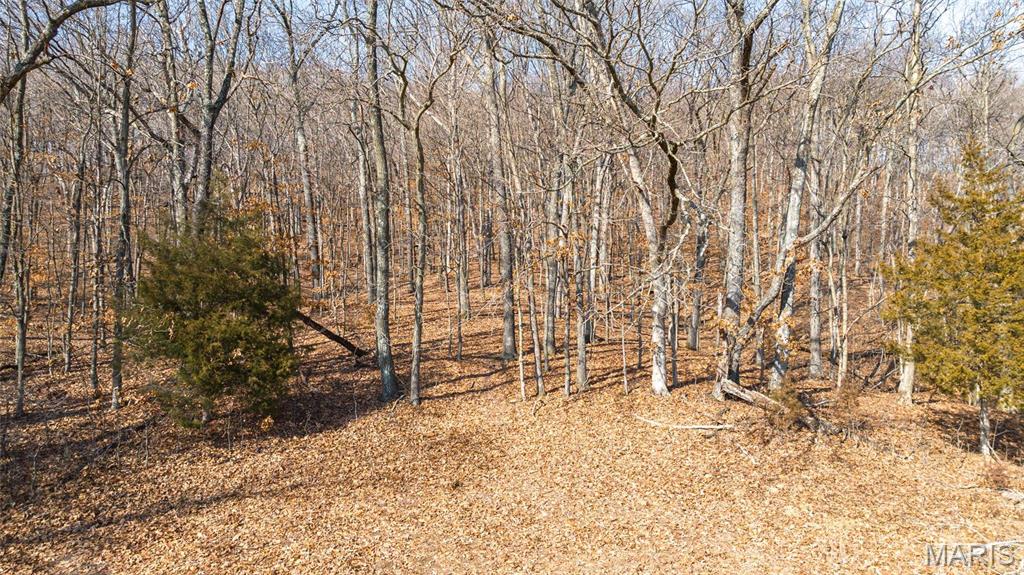 205 Hemsath Property Photo 39