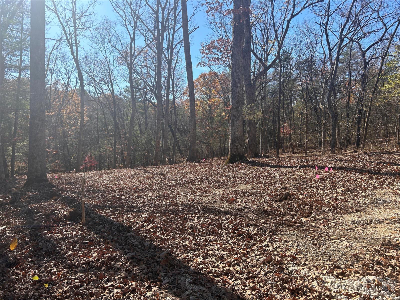 1414 Timber Valley Ct Property Photo 2