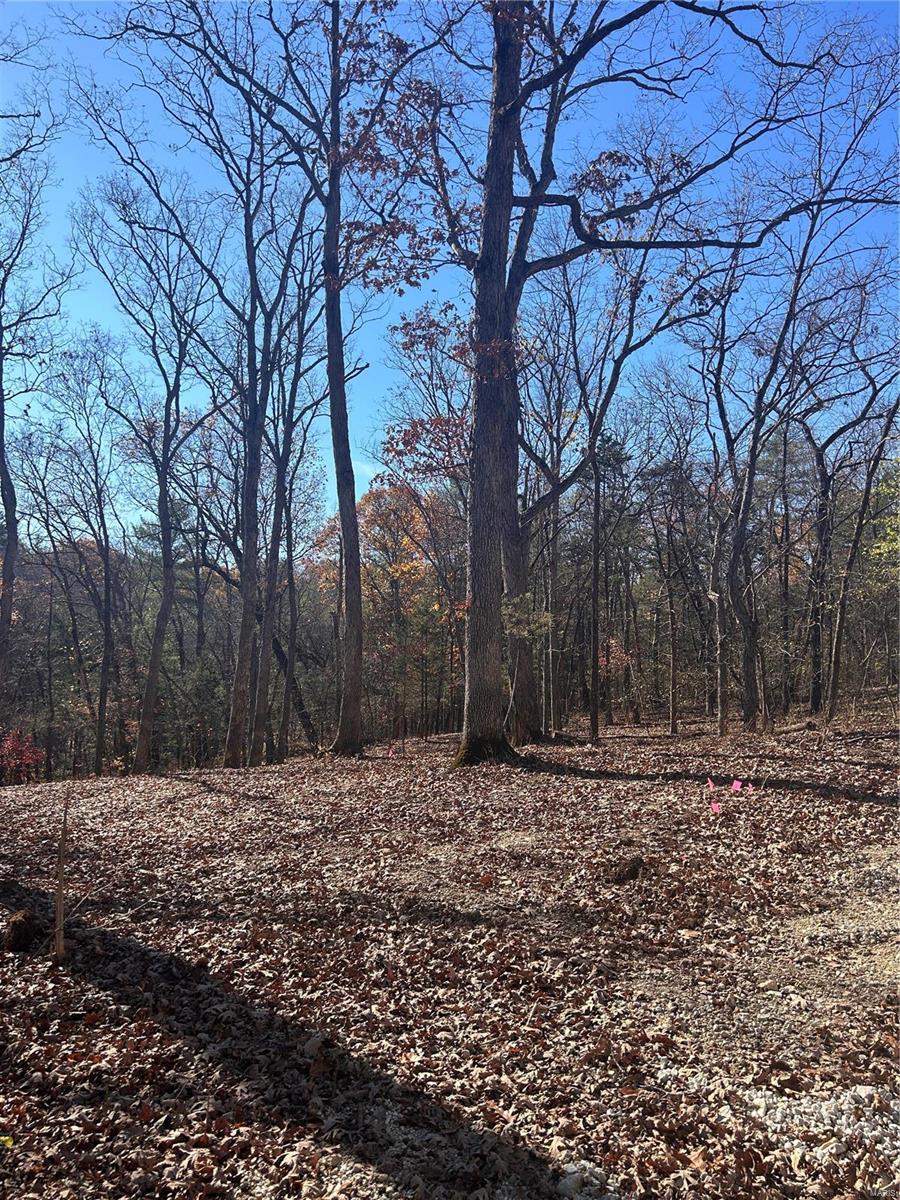 1414 Timber Valley Ct Property Photo 3