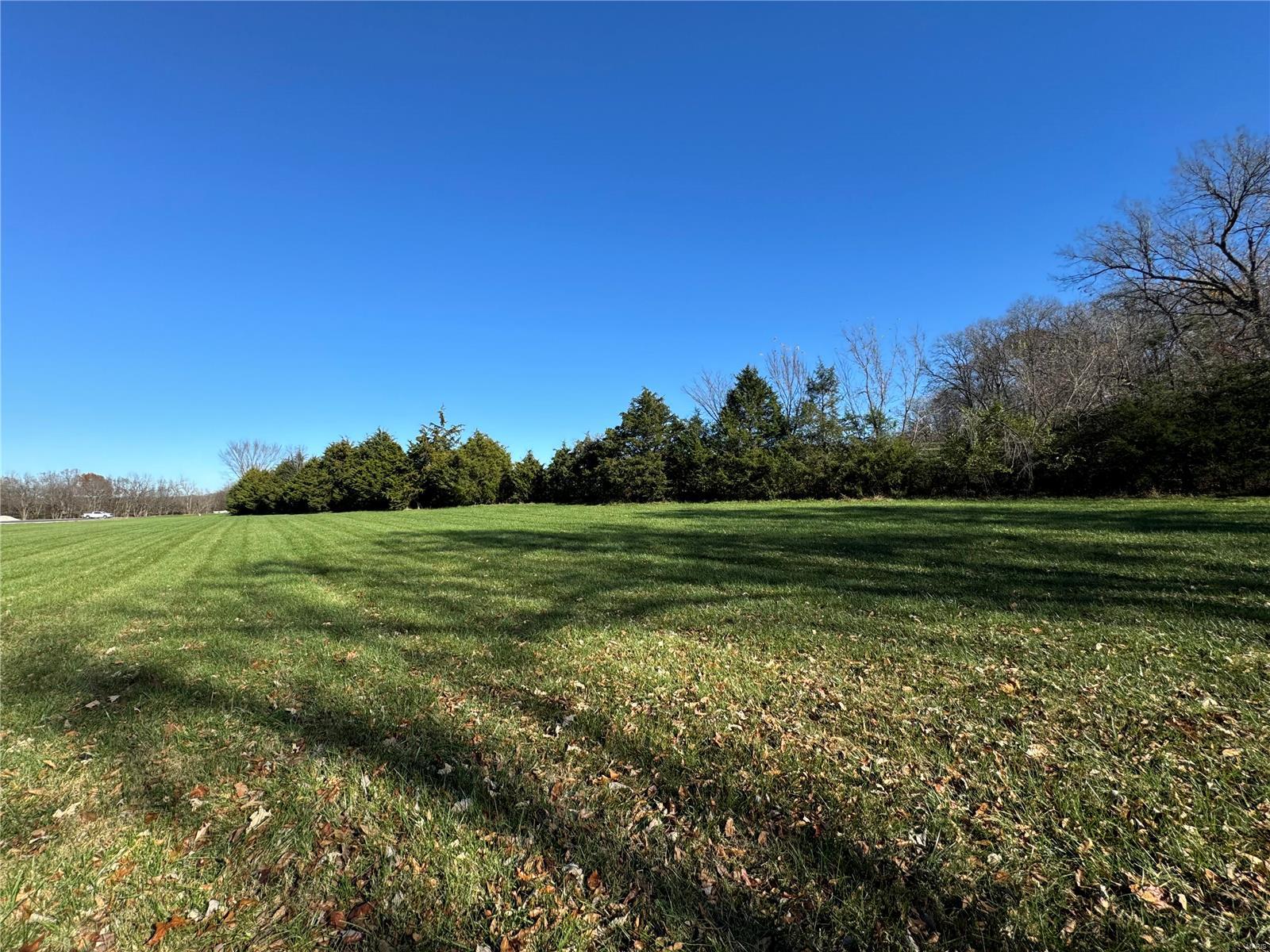 264 Holt Farm Drive Property Photo 6