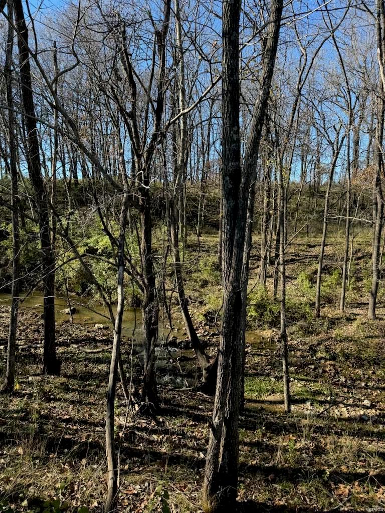 264 Holt Farm Drive Property Photo 8