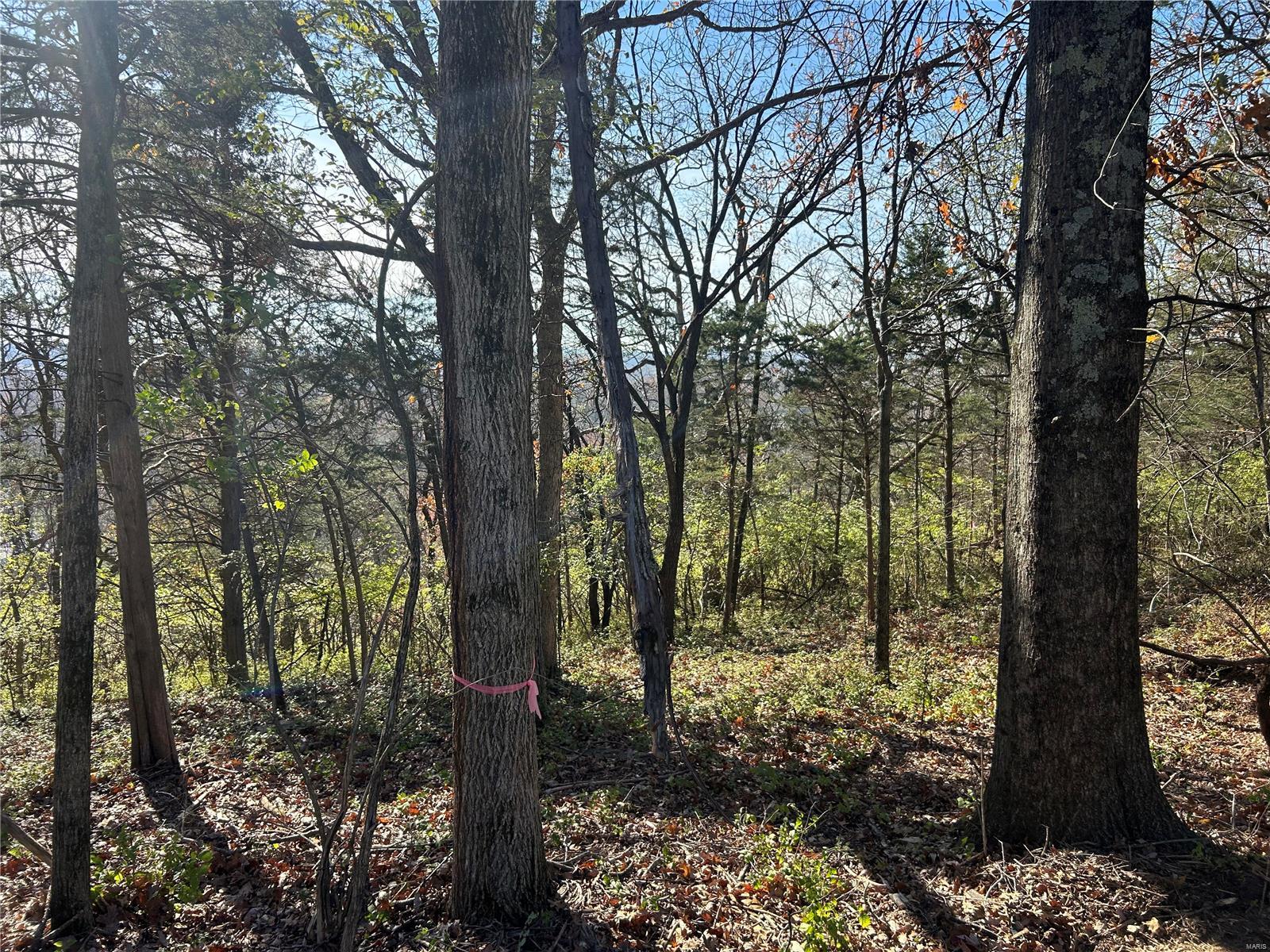 3320 Quinette Road Property Photo 13