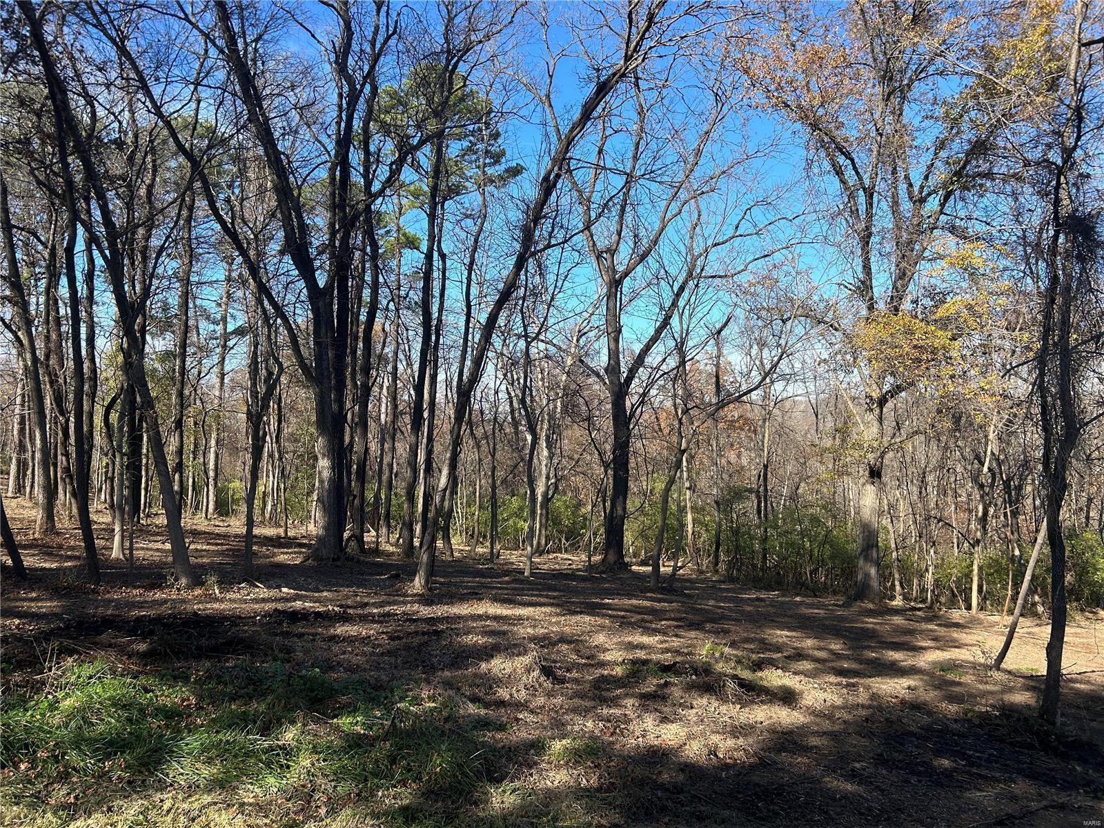 3320 Quinette Road Property Photo 31