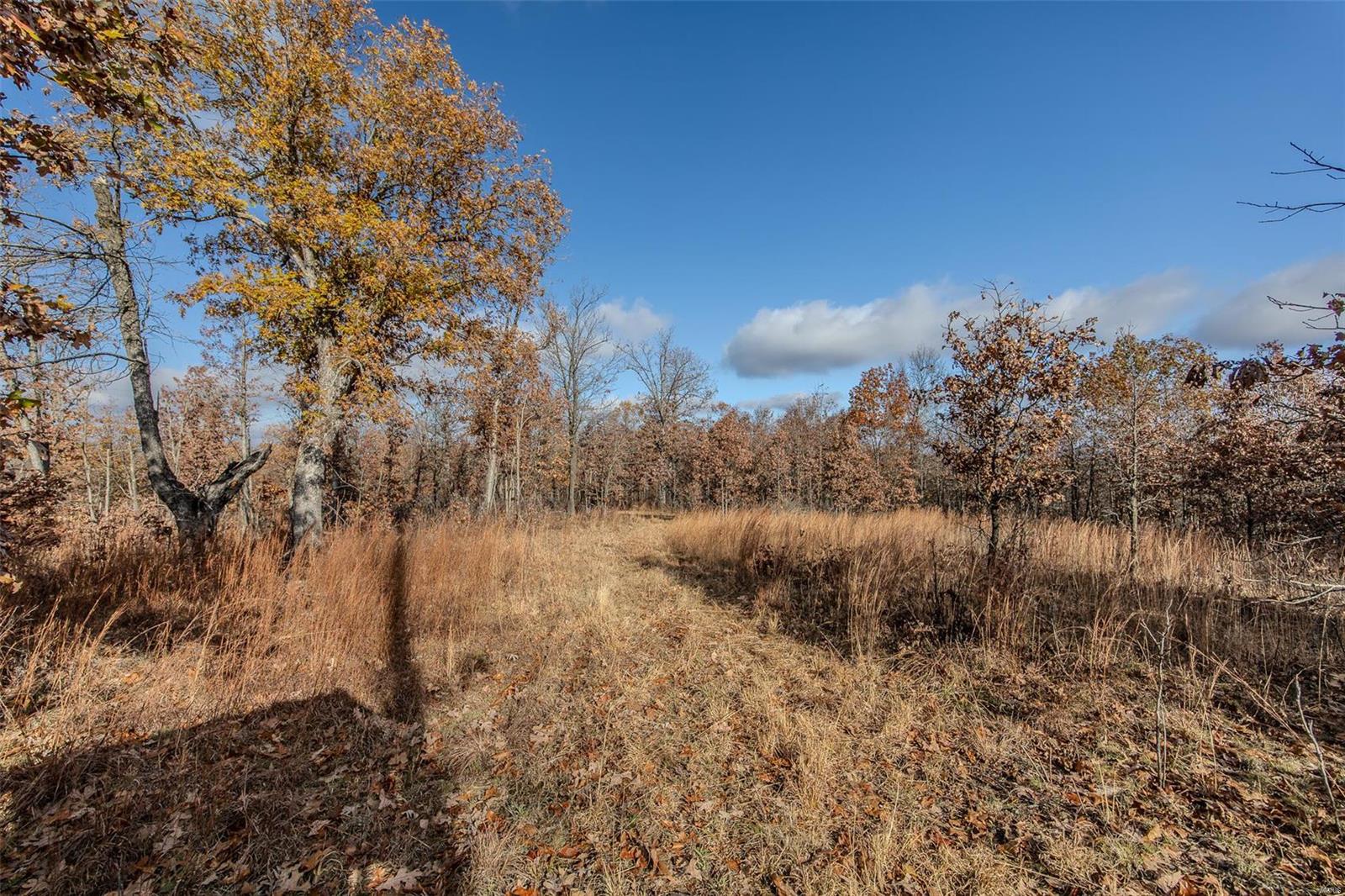 181 Elkhorn Road Property Photo 14