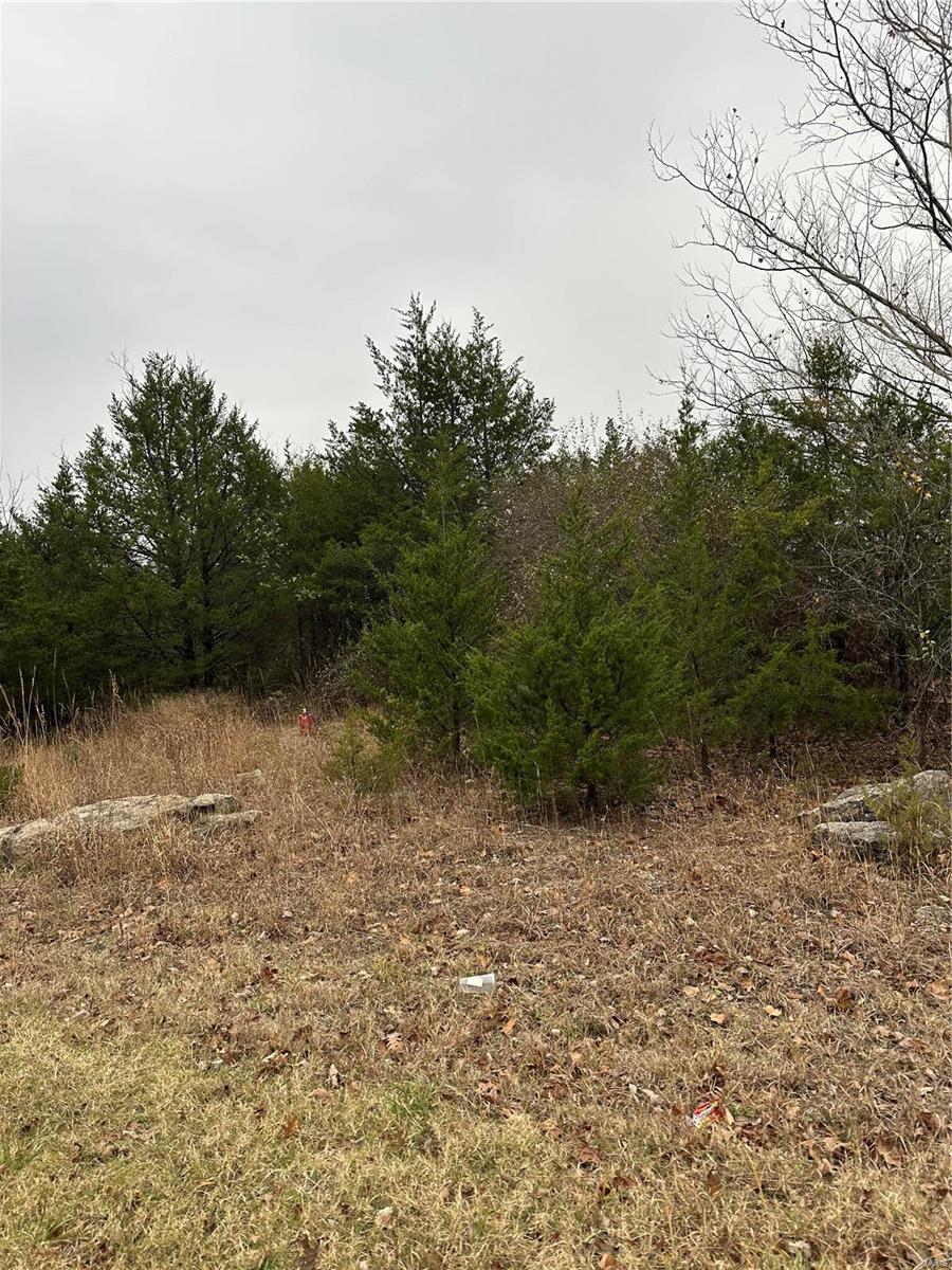 0 28.72 +/- Ac, Horine Road Property Photo 2