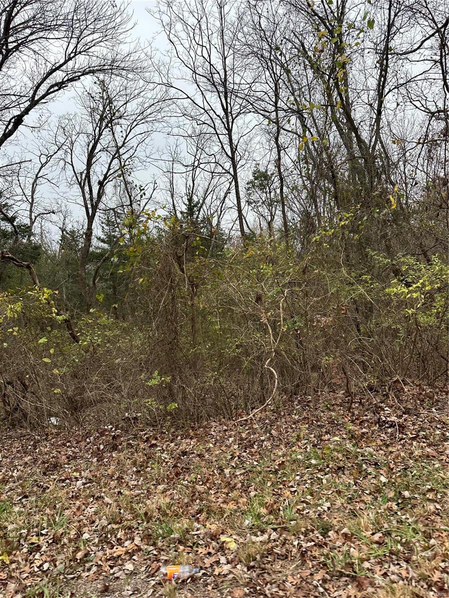 0 28.72 +/- Ac, Horine Road Property Photo 3