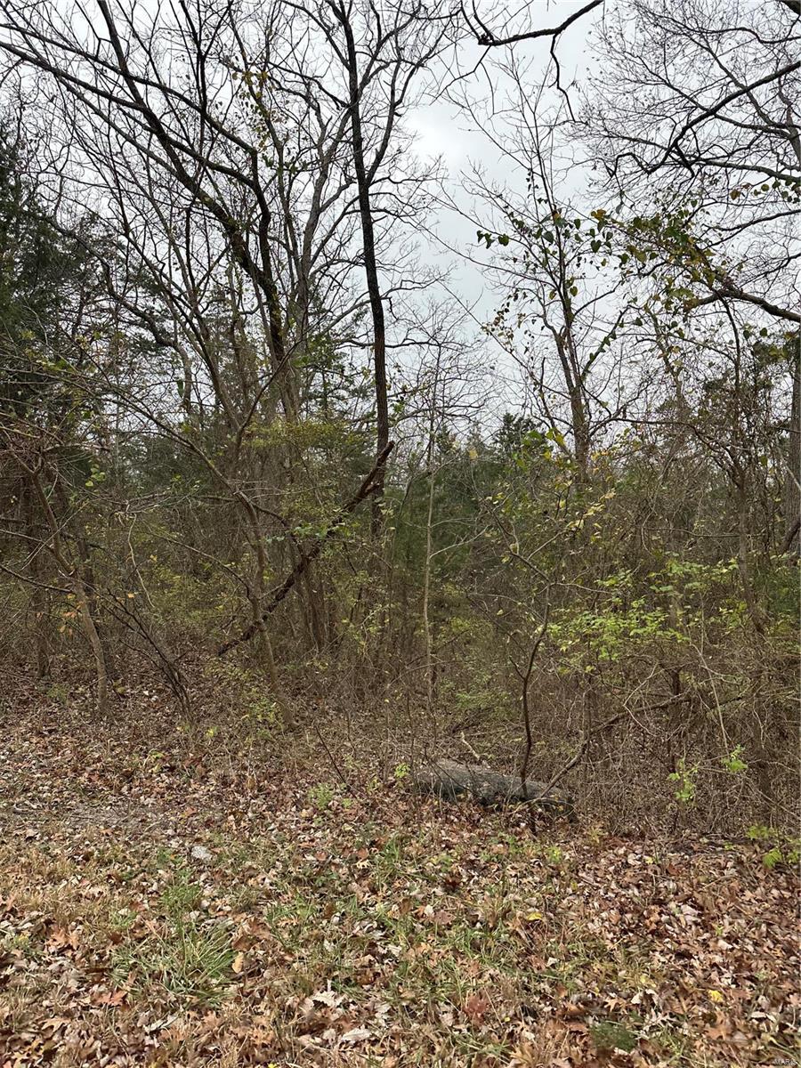 0 28.72 +/- Ac, Horine Road Property Photo 4
