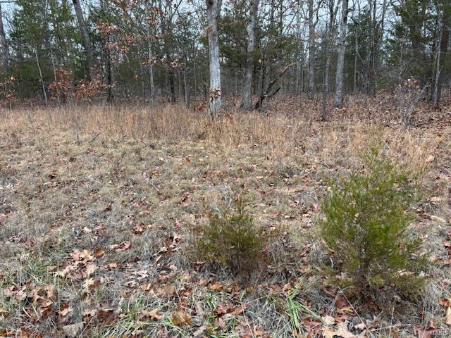 194 Hickory Drive Property Photo 2