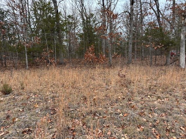 194 Hickory Drive Property Photo 3