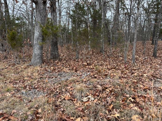 194 Hickory Drive Property Photo 4