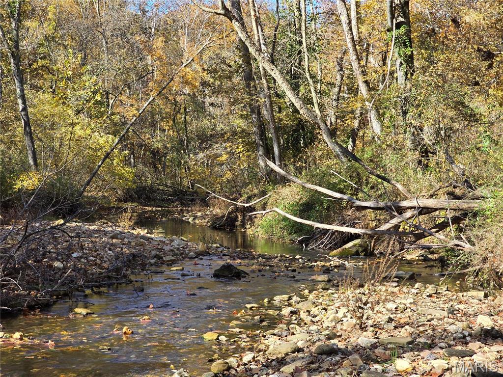 0 Forrest Drive Property Photo 1