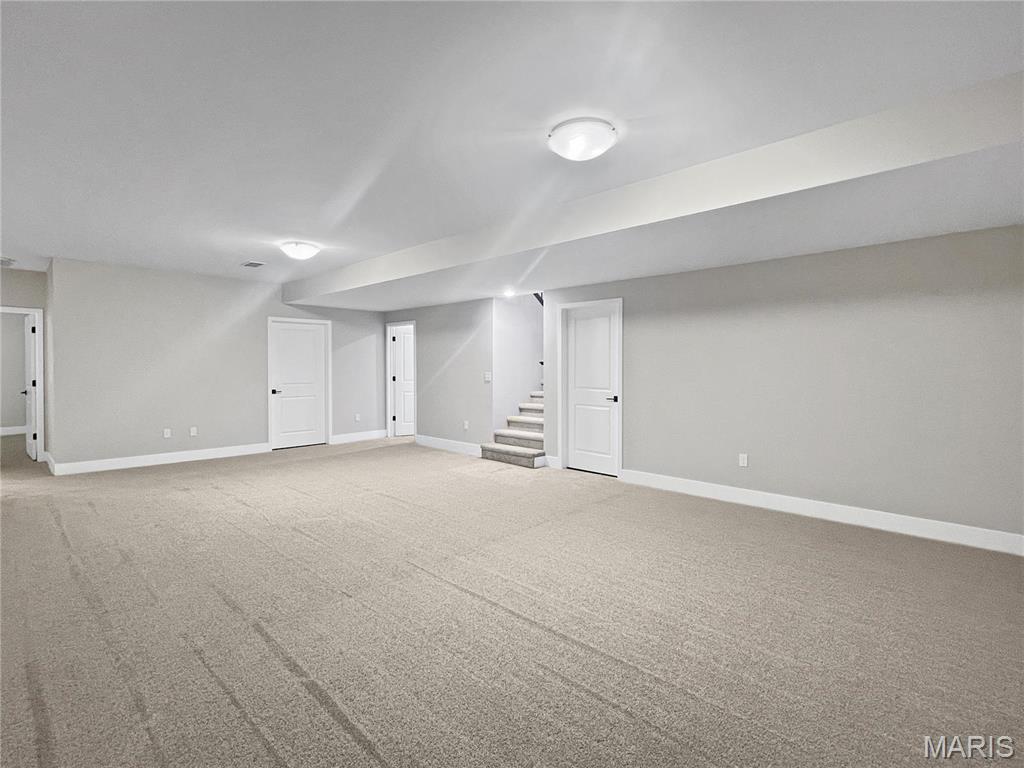 205 Stonebridge Bluff Drive Property Photo 20
