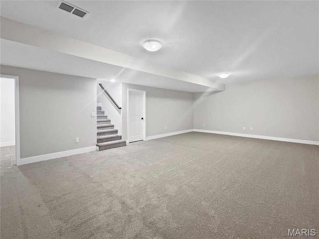 205 Stonebridge Bluff Drive Property Photo 21