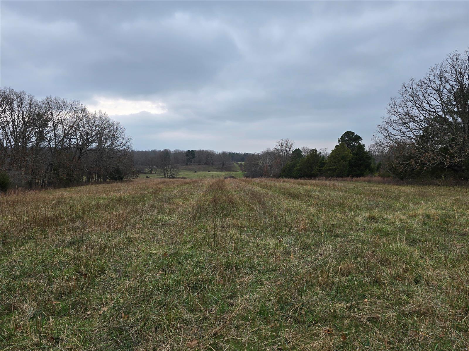 0 Mccolgin Road Property Photo 11