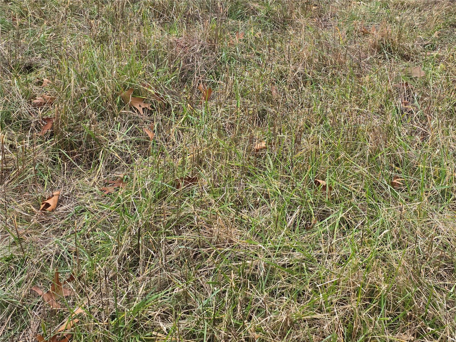 0 Mccolgin Road Property Photo 13