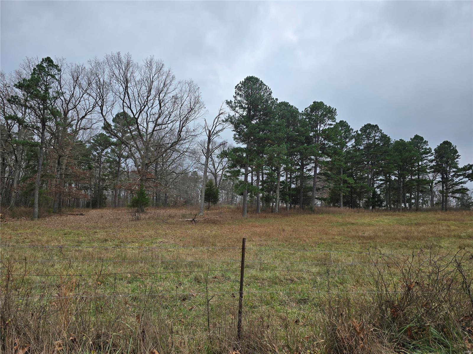 0 Mccolgin Road Property Photo 15