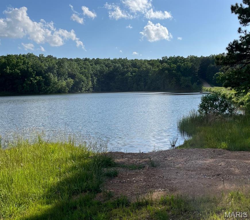 1 Gobbler Cove Property Photo 1