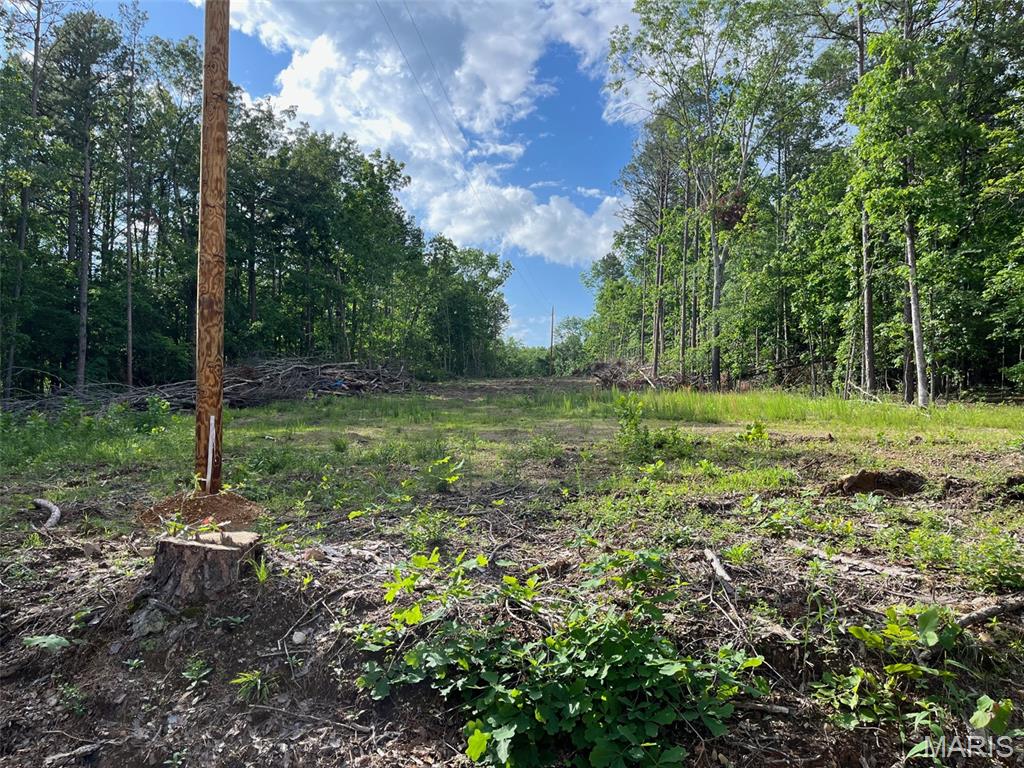 1 Gobbler Cove Property Photo 4