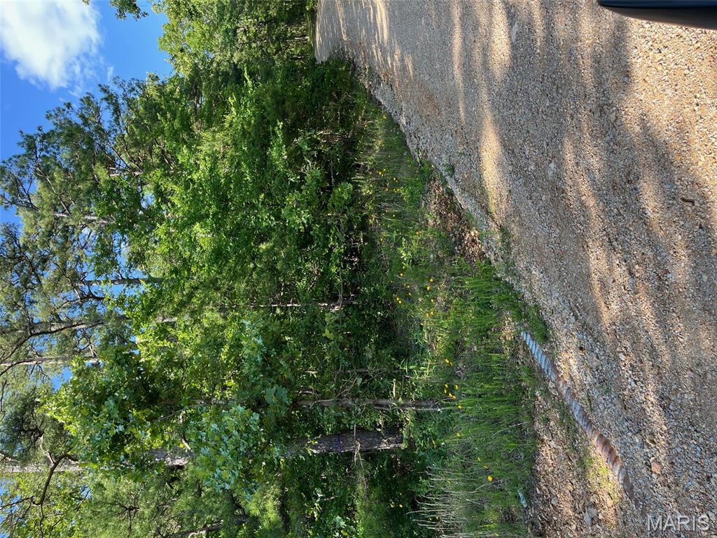 1 Gobbler Cove Property Photo 6