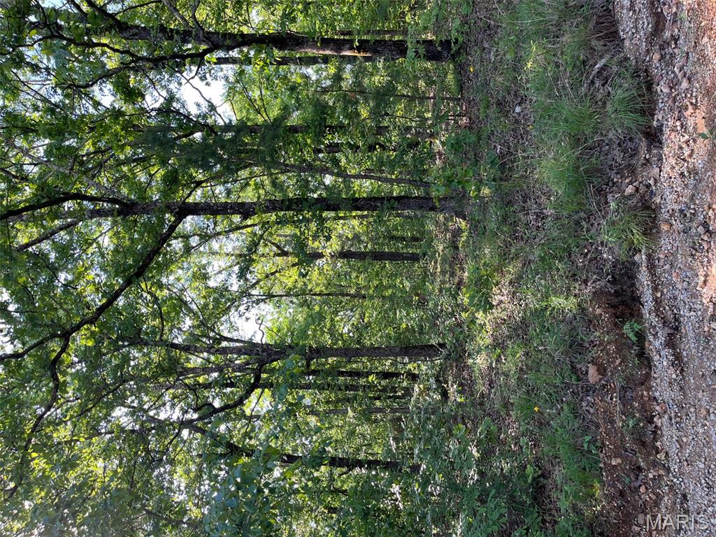 1 Gobbler Cove Property Photo 7