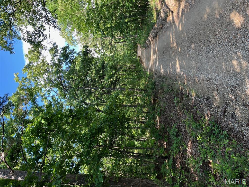 1 Gobbler Cove Property Photo 8
