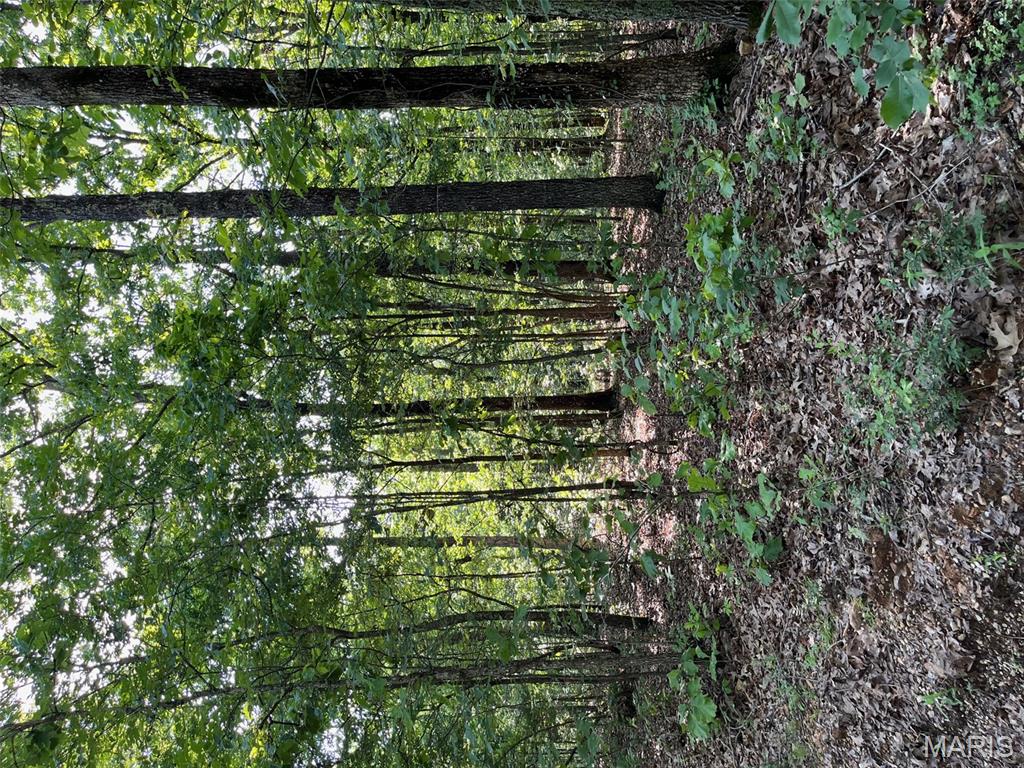 1 Gobbler Cove Property Photo 9