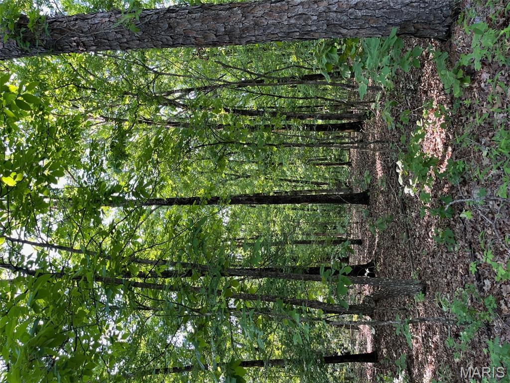 1 Gobbler Cove Property Photo 10
