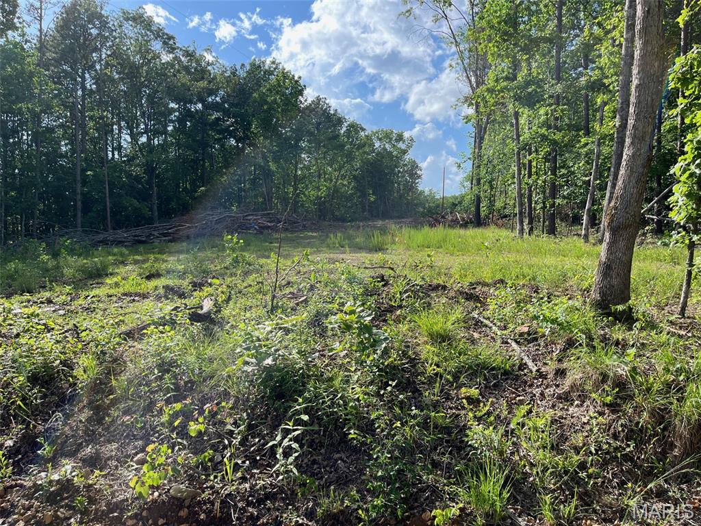 1 Gobbler Cove Property Photo 12