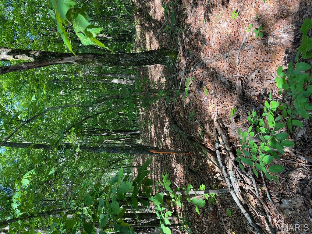 1 Gobbler Cove Property Photo 13