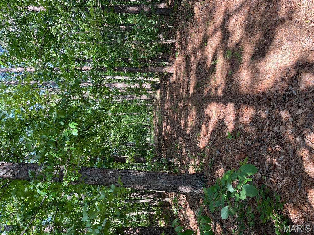 1 Gobbler Cove Property Photo 14