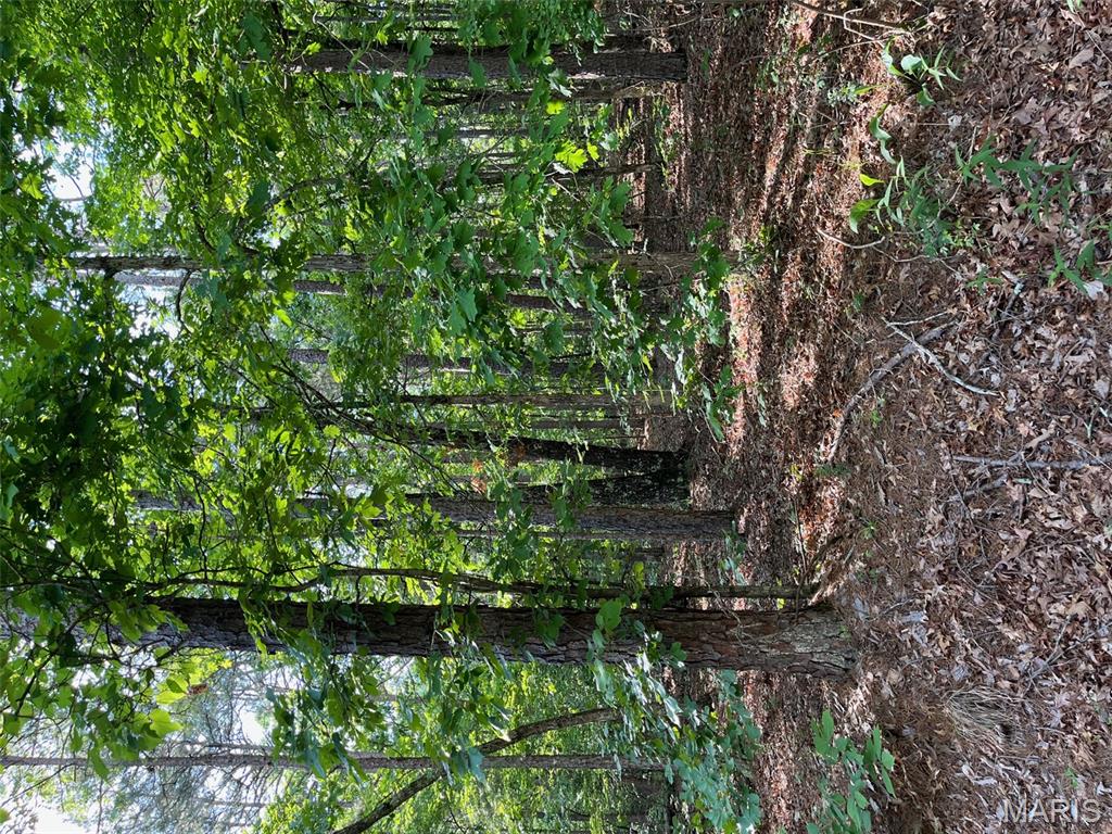 1 Gobbler Cove Property Photo 15
