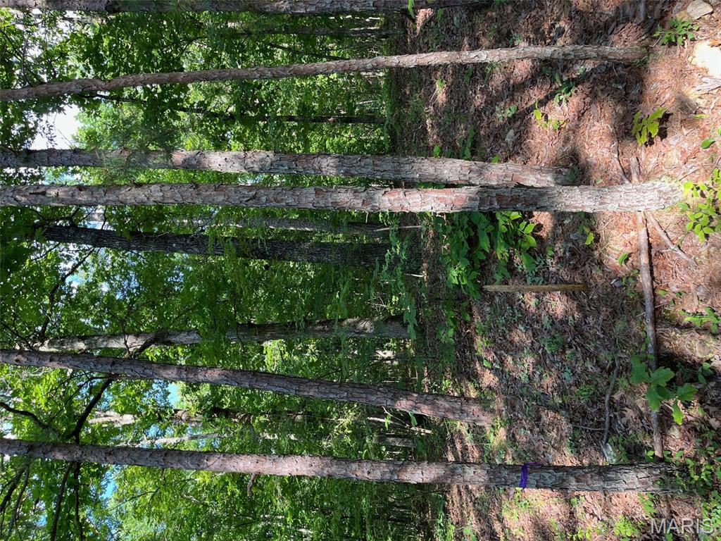 1 Gobbler Cove Property Photo 16