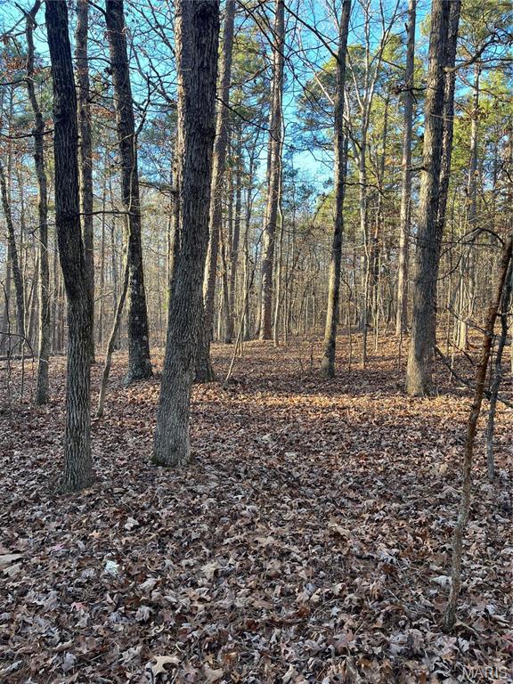 1 Gobbler Cove Property Photo 19