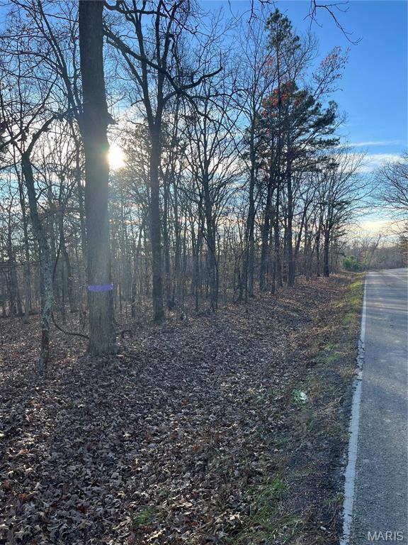 1 Gobbler Cove Property Photo 20