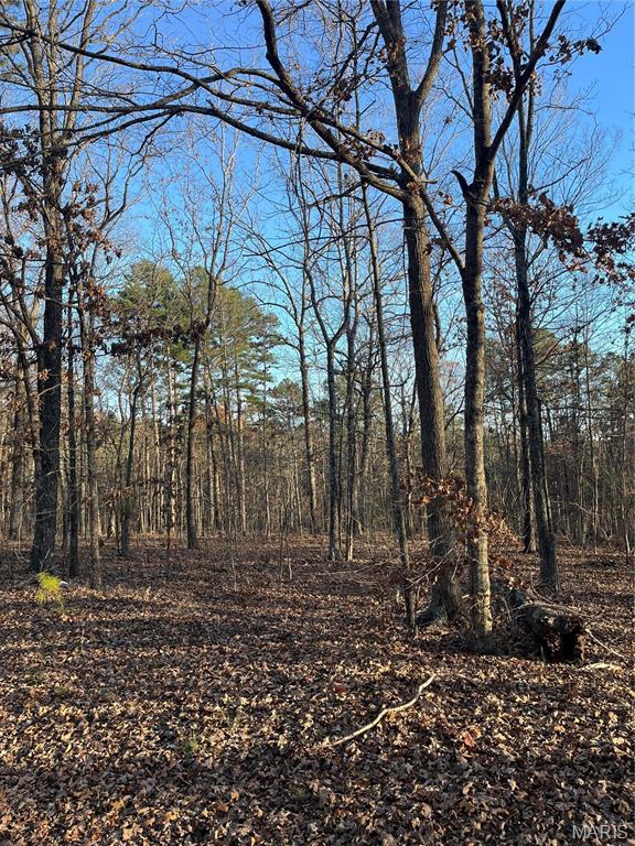 1 Gobbler Cove Property Photo 21