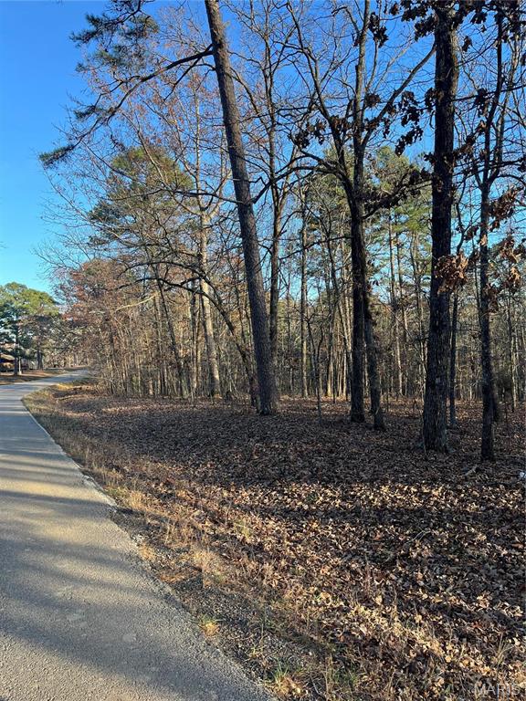 1 Gobbler Cove Property Photo 22