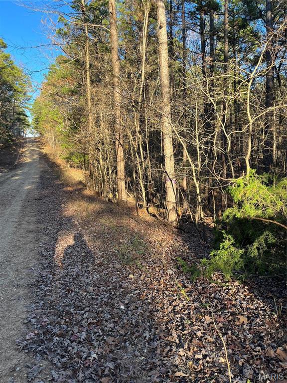 1 Gobbler Cove Property Photo 23