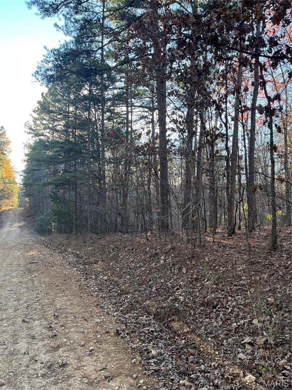 1 Gobbler Cove Property Photo 24