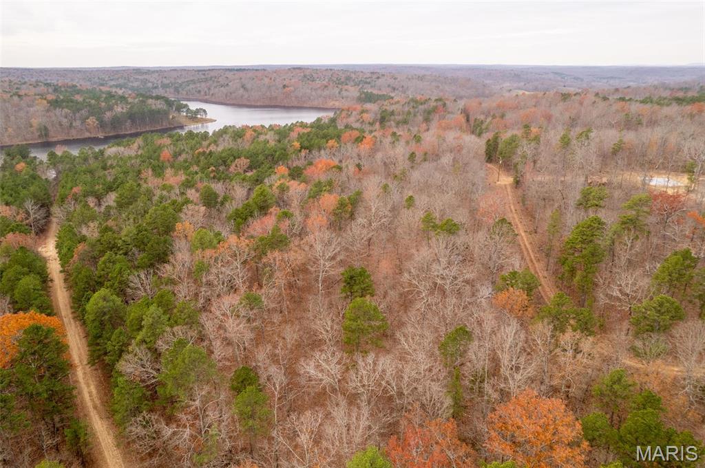 1 Gobbler Cove Property Photo 27