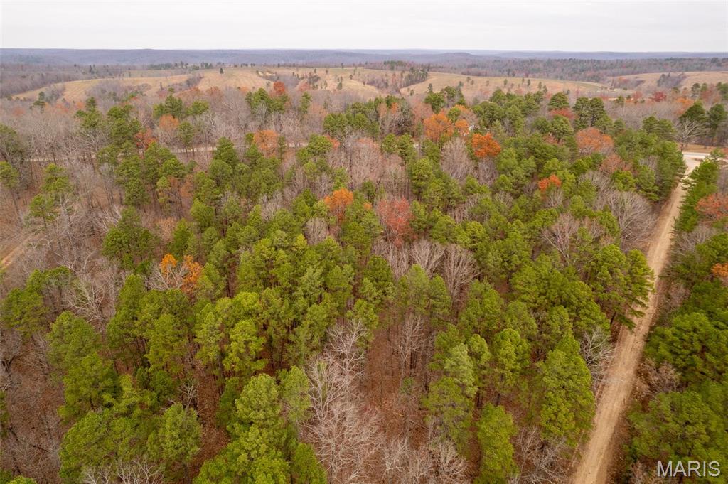 1 Gobbler Cove Property Photo 28