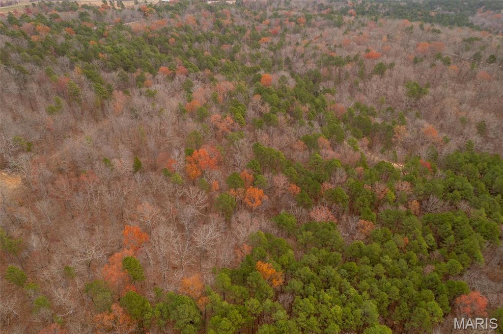 1 Gobbler Cove Property Photo 33