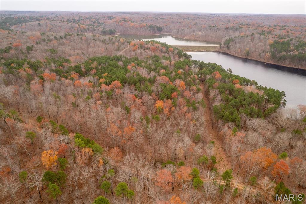 1 Gobbler Cove Property Photo 35