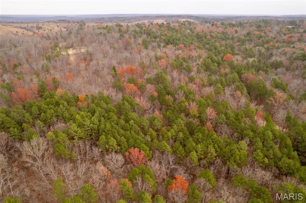 1 Gobbler Cove Property Photo 37