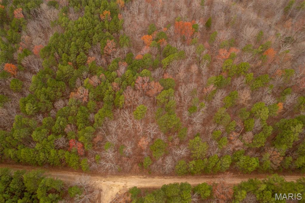 1 Gobbler Cove Property Photo 39