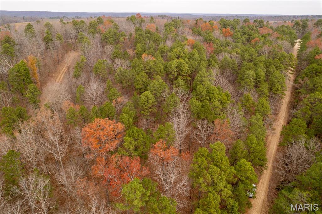 1 Gobbler Cove Property Photo 43